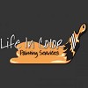 Life in Color Painting Services